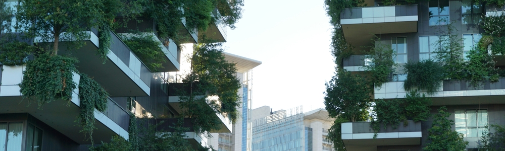 Ontwikkeling van de slimste wijk